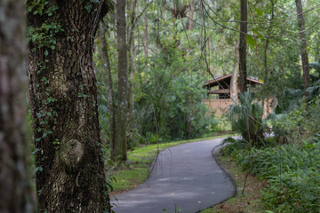 The beautiful scenic view of the nature trail at Lettuce Lake Conservation Park Hillsborough County Florida USA
