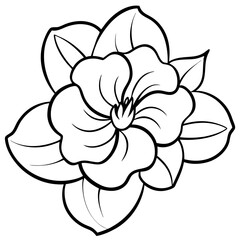 black and white branch flower jasmine outline isolated on background