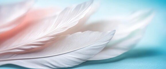 Delicate porcelain feathers on soft pastel background - spring art concept