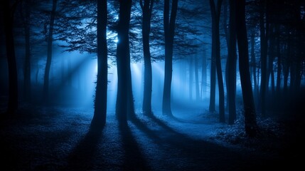 Obraz premium dark forest horror background