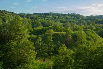 Beautiful summer landscape. View of green forest from the hillside. Trees