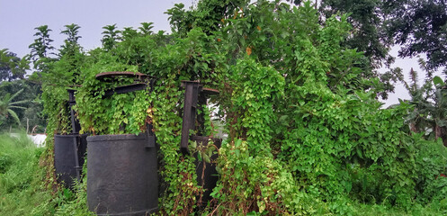 Bangladeshi Village Old memories, old home, old house 
