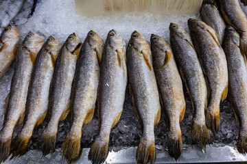 Fresh hake for sale at the fish market in Santos, Brazil
