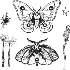 Obraz premium Line Set Witch item Halloween Clip art set Magic wand drawing skull outline moth butterfly contour witch broom Hand drawn design element illustration Occult Symbol graphic animal skull grunge spots