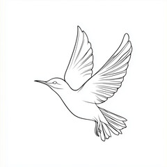 Obraz premium Hummingbird Line Drawing, Simple Outline, Flying Bird on White Background with Copy Space