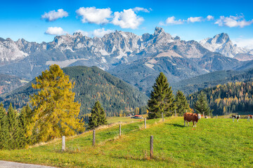 Fabulous view of  Alpine green fields and mountains near St. Martin am Tennengebirge.