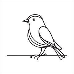 single one line bird silhouette on white background
