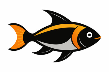 Vector illustration of tambaqui fish on a white background