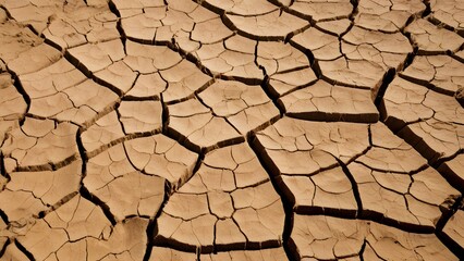 Dry cracked ground