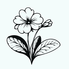 Adobe Illustrator Artwork
set of flowers vector
illustration of a flower
black and white flower