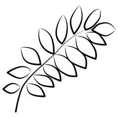 Large palm leaves. Natural green nature background.