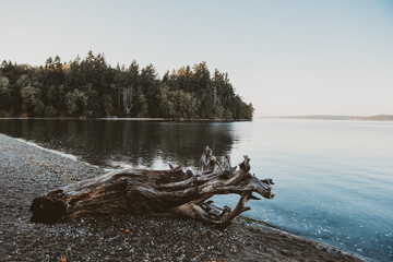 Beautiful, quiet, evening on a lake during Autumn in Washington