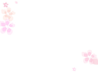 Spring tree flower parts. Flying petals isolated on white.