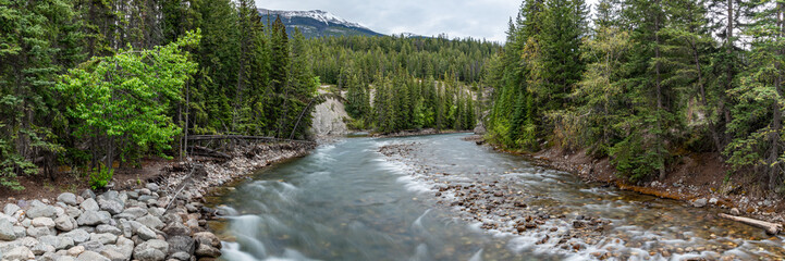 Obraz premium Stunning views in Jasper National Park during spring time with immense wilderness in scenic nature area near Maligne Canyon with stunning, lush forest in view. 