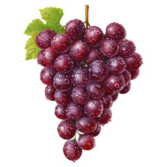 Fototapeta premium Fresh, juicy red grapes with a natural sparkle isolated on transparent background.
