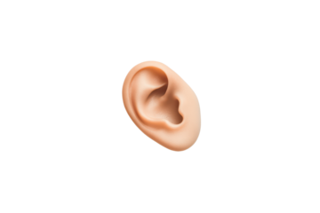 Human ear close-up isolated on transparent background.