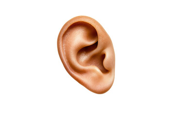 Human ear detail isolated on transparent background.