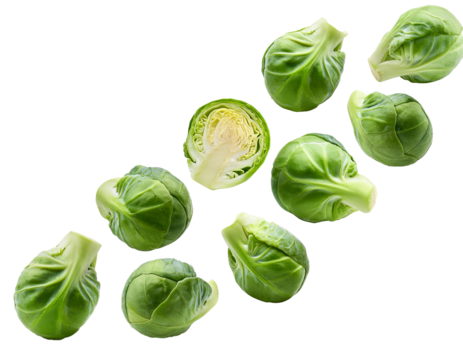 Rosenkohl fallend isoliert auf weißen Hintergrund, Freisteller 