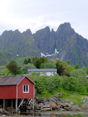 mountains and the sea