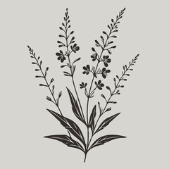Fototapeta premium lavender flowers isolated on white, branch of lavender, flowers vector, illustration of exotic flower, black and white flower