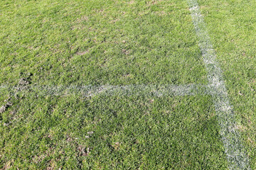 white sports field lines in grass