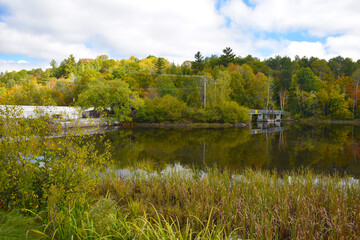 Fototapeta premium Marais Kingsbury 28 Septembre 2024