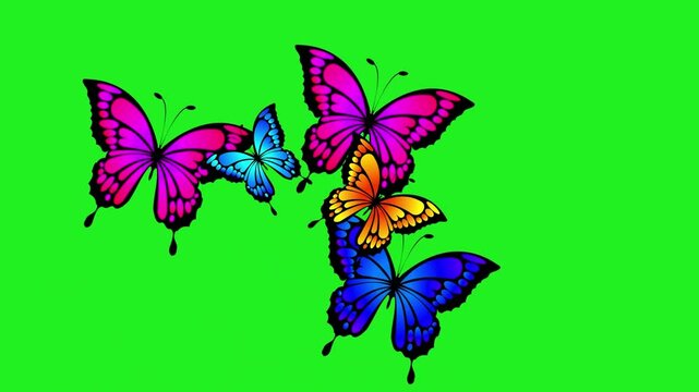butterflies green screen