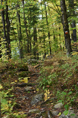 Marais Kingsbury 28 Septembre 2024