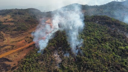 Fototapeta premium Incêndio florestal