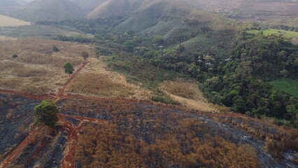 Incêndio florestal