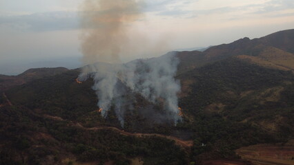 Incêndio florestal