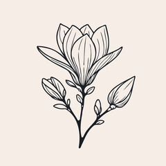 magnolia flowers vector, illustration of exotic flower, black and white flower
