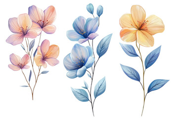Obraz premium set of pastel watercolor flowers illustration isolated png transparent background