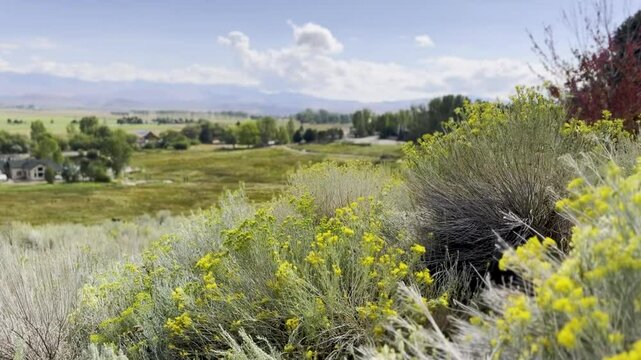Nevada & California High Desert- valley vista Seasons change