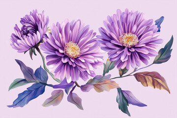 Obraz premium Blossom painted aster flowers, leaves. Trendy design