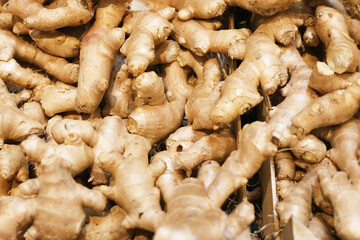 Pile of ginger roots stacked in a crate. Fresh ginger in a wooden box. Autumn harvest season for...