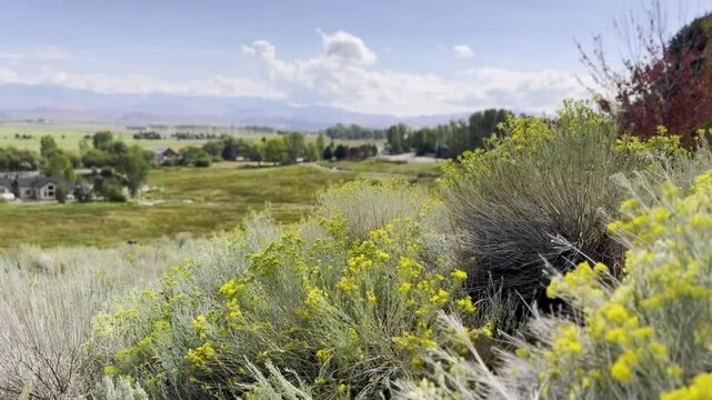 Nevada & California High Desert- valley vista Seasons change