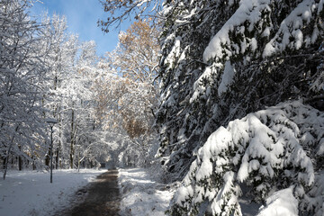 Winter panorama of South Park  in city of Sofia, Bulgaria