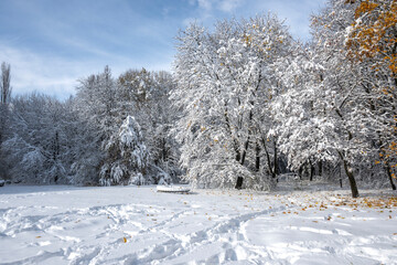 Obraz premium Winter panorama of South Park in city of Sofia, Bulgaria