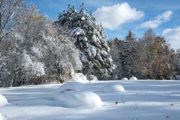 Winter panorama of South Park  in city of Sofia, Bulgaria
