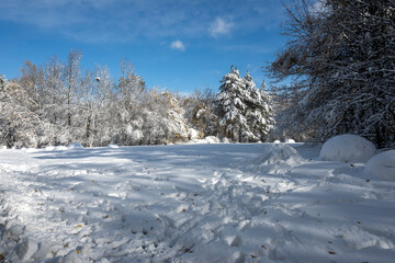 Winter panorama of South Park  in city of Sofia, Bulgaria