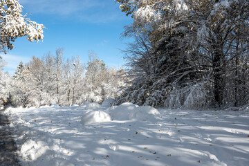 Winter panorama of South Park  in city of Sofia, Bulgaria