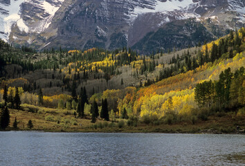 The Maroon Bells with yellow-leaf aspen trees in Aspen, Colorado