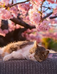 暖かい春の午後、満開の桜の木の下でまどろむ猫。桜の花びらが風に沿って、猫の背中にそっと降り積もる