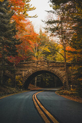 Scenic Road New England Fall Foliage Acadia National Park Carriage Roads Fall Foliage Autumn Stone Bridge Beautiful Colorful Nature Paved Street USA