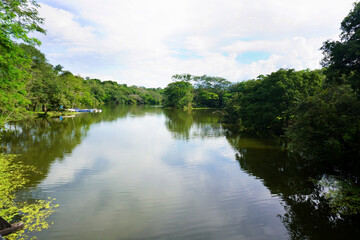 Landscape of a lake with aquatic plants and a wooded environment near Sopetrán, Antioquia.