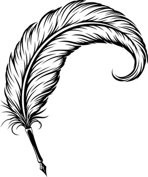 Detailed quill pen with a feather. Tattoo, intricate design and decor element. Highly detailed and accurate lines for print or engraving