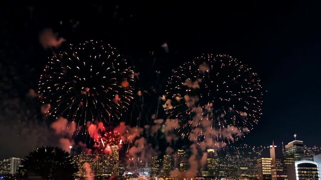 New Year Fireworks: Celebrate the Colorful Night Sky Explosion