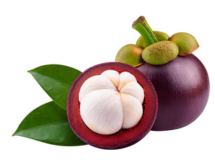 Mangosteen fruit or Garcinia mangostana, isolated on transparent background