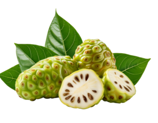 or Morinda Citrifolia fruits with sliced and green leaf isolated on transparent background